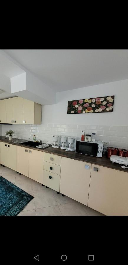 Hotel Casa Liana Buşteni Esterno foto
