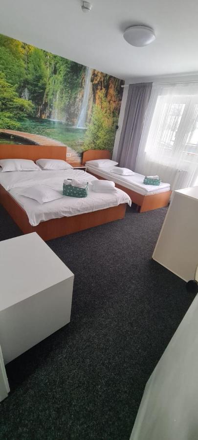 Hotel Casa Liana Buşteni Esterno foto